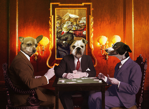 dogs playing poker animals picture and wallpaper